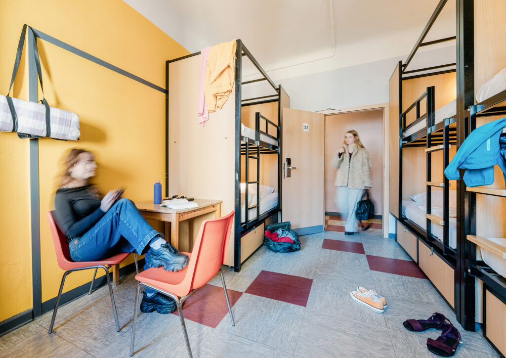 Three Little Pigs - Hostel in Berlin